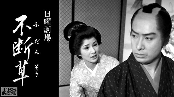 日曜劇場「不断草」