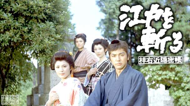 江戸を斬る−梓右近隠密帳−