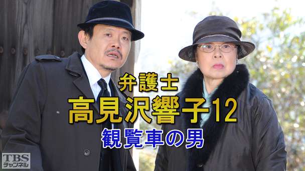 弁護士高見沢響子12 観覧車の男