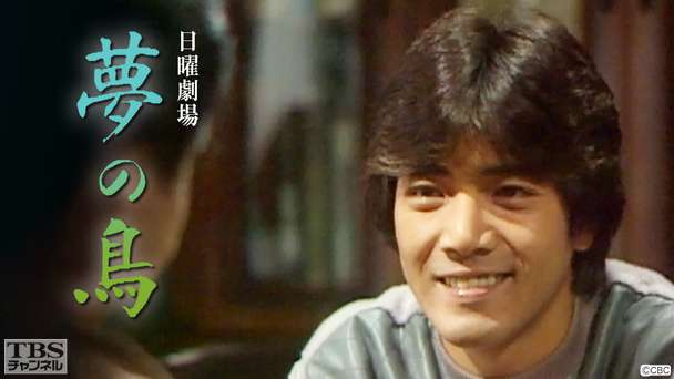 日曜劇場「夢の鳥」(野口五郎出演)