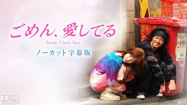 韓国ドラマ「ごめん、愛してる」ノーカット字幕版