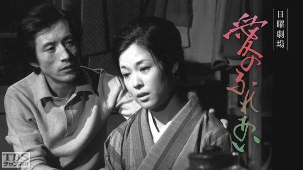 日曜劇場「愛のふれあい」