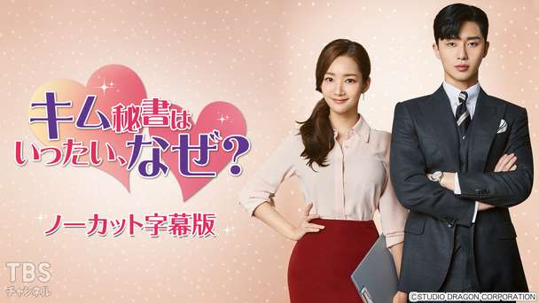 韓国ドラマ「キム秘書はいったい、なぜ?」ノーカット字幕版