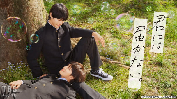 君には届かない。