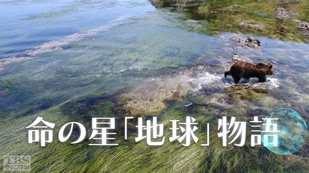 命の星「地球」物語