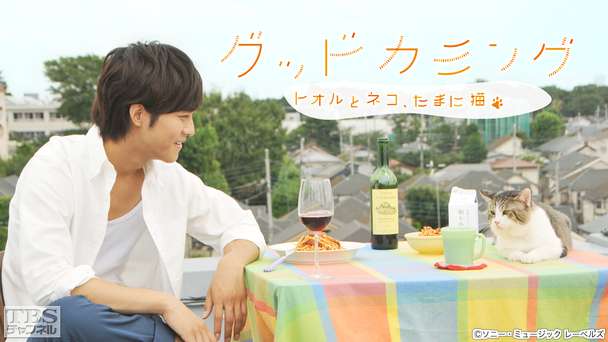 映画「グッドカミング〜トオルとネコ、たまに猫〜」(松坂桃李主演)