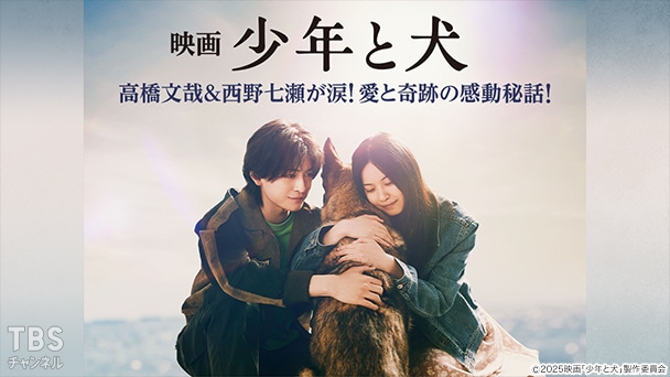 映画「少年と犬」高橋文哉&西野七瀬が涙!愛と奇跡の感動秘話!