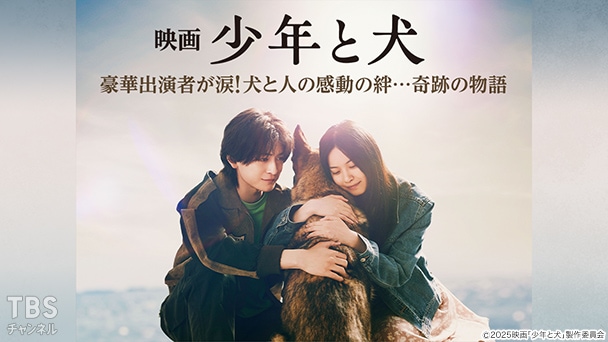 映画「少年と犬」豪華出演者が涙!犬と人の感動の絆…奇跡の物語