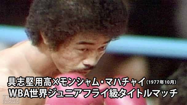 ボクシング WBA世界ジュニアフライ級タイトルマッチ 具志堅用高×モンシャム・マハチャイ(1977年10月)