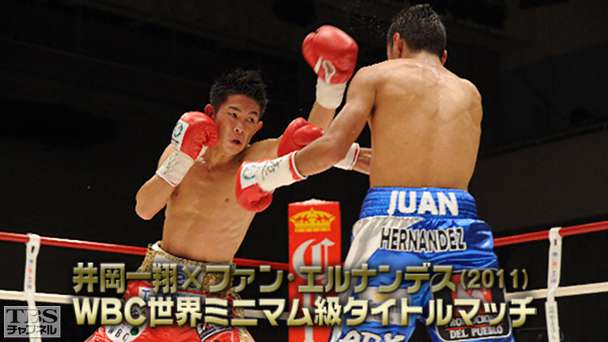 ボクシング WBC世界ミニマム級タイトルマッチ 井岡一翔×ファン・エルナンデス(2011年8月)