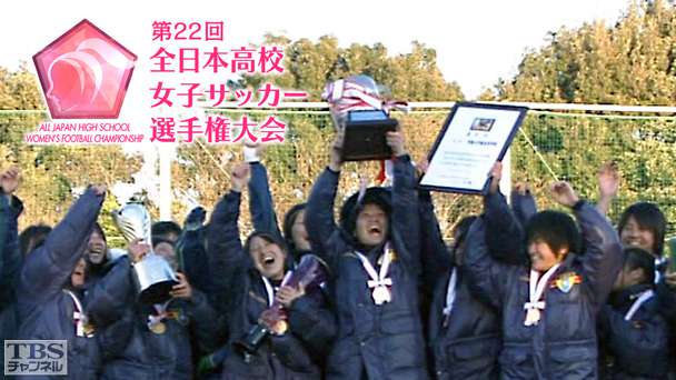 第22回全日本高校女子サッカー選手権大会(2014年)