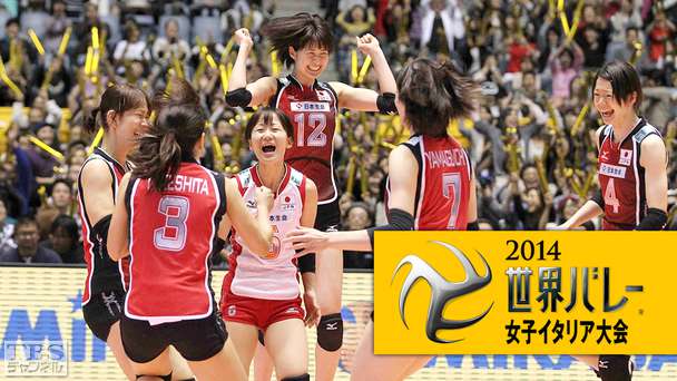 2014世界バレー女子 イタリア大会