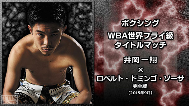 ボクシング WBA世界フライ級タイトルマッチ 井岡一翔×ロベルト・ドミンゴ・ソーサ 完全版(2015年9月)
