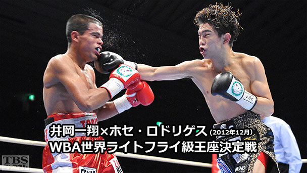 ボクシング WBA世界ライトフライ級王座決定戦 井岡一翔×ホセ・ロドリゲス(2012年12月)