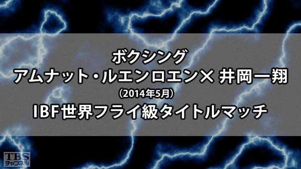 ボクシング IBF世界フライ級タイトルマッチ アムナット・ルエンロエン×井岡一翔(2014年5月)