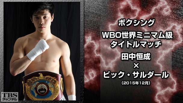 ボクシング WBO世界ミニマム級タイトルマッチ 田中恒成×ビック・サルダール(2015年12月)