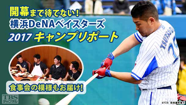 開幕まで待てない!横浜DeNAベイスターズ2017キャンプリポート