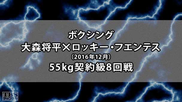 ボクシング 55kg契約級8回戦 大森将平×ロッキー・フエンテス(2016年12月)