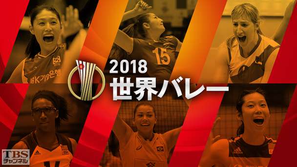 2018世界バレー女子