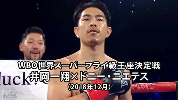ボクシング WBO世界スーパーフライ級王座決定戦 井岡一翔×ドニー・ニエテス(2018年12月)