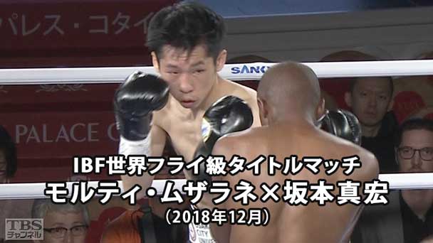 ボクシング IBF世界フライ級タイトルマッチ モルティ・ムザラネ×坂本真宏(2018年12月)