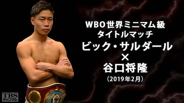 ボクシング WBO世界ミニマム級タイトルマッチ ビック・サルダール×谷口将隆(2019年2月)