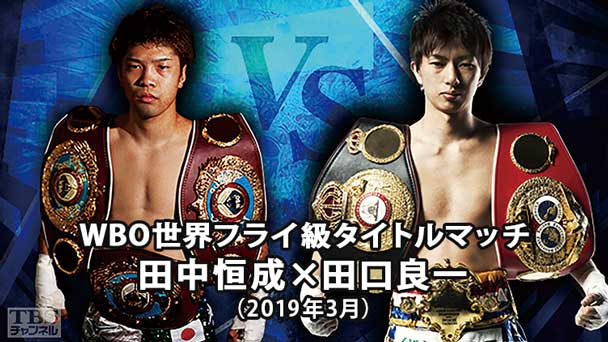 ボクシング WBO世界フライ級タイトルマッチ 田中恒成×田口良一(2019年3月)