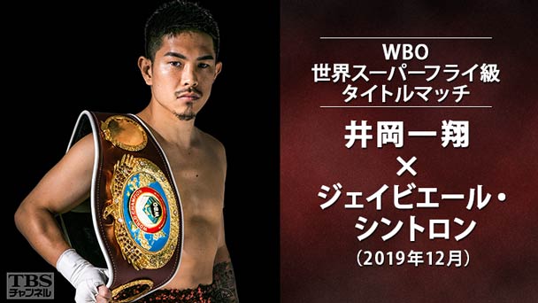 ボクシング WBO世界スーパーフライ級タイトルマッチ 井岡一翔×ジェイビエール・シントロン(2019年12月)