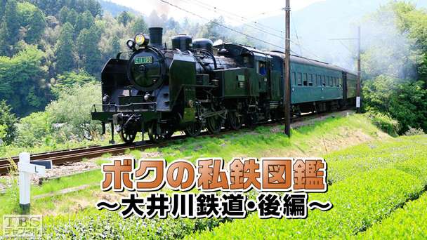 ボクの私鉄図鑑〜大井川鉄道・後編〜