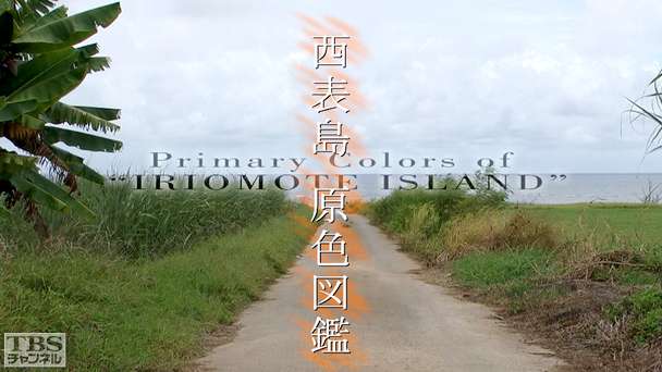 西表島原色図鑑