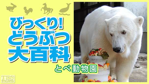 びっくり!どうぶつ大百科〜とべ動物園〜